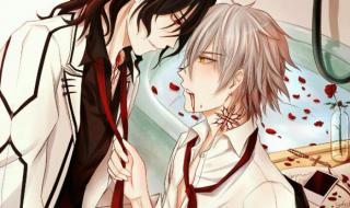 吸血鬼骑士玖兰枢 吸血鬼骑士玖兰枢